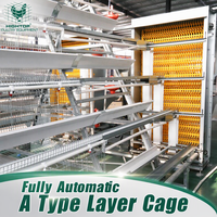 Système de cages automatiques pour poules pondeuses de type A, cages en batterie galvanisées à chaud avec système de collecte des œufs pour les fermes avicoles du Mexique