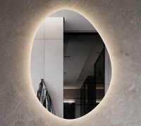 Miroir de salle de bain ovale moderne sans cadre à LED personnalisable, de luxe, anti-buée, grossissant, éclairé, à intensité variable avec capteur tactile