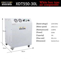 Mesin kompresor udara kecil 220V, kompresor udara mini tanpa minyak Silent 500 liter untuk melukis