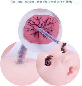 실물 크기 인간 신생아 훈련 모델 PVC 탯줄 태반 관리 모델 신생아 시뮬레이터-교육 교육 교육 아기를위한 - Product Image 5