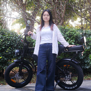 Электровелосипед X80 PRO (склад ЕС), фэтбайк с полной подвеской, 250 Вт, 20 дюймов, ретро-дизайн, горный, для бездорожья, дешевый, VOMO X80, от производителя - Product Image 3