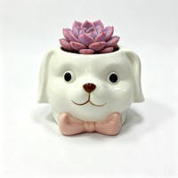 OEM ODM Nouveau Pot à Succulentes en Céramique 3D Créatif Chien Chat Mignon, Pot de Fleurs en Porcelaine Personnalisé Motif Animal Dessin Animé pour Bureau