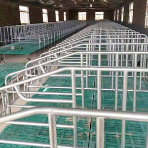 Nuevo Tablero de Drenaje de Estiércol de Cerdo TOPFRP de Alta Calidad, Suelo de Plástico para Cría de Cerdos, 110*65cm - Product Image 3