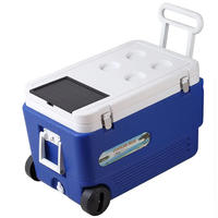 Glacière solaire LIHENG 60L, glacière de pique-nique en plastique avec roues, glacière portable à roulettes isolée pour le camping