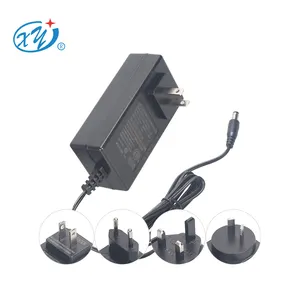 Wholesale 12V 4A Power Adapter 48W 50W 5V 9V 15V 24V 2A 3A 4A 6A 7A 9A AC to DC Power Supply for TV display screen CCTV Camera