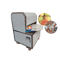 Hoge capaciteit perzikontpitter, fruitpit-scheidingsapparatuur voor blikjesperzikfabrieken & productie van fruitconserven
