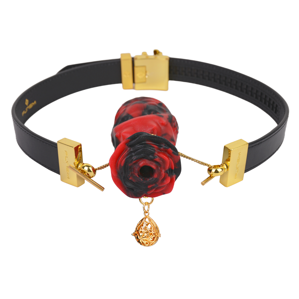 Cuir + gags en silicone + cloche-A