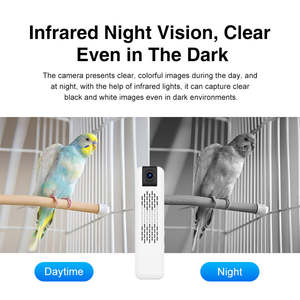 <span class=keywords><strong>Mini</strong></span> caméra de sécurité intérieure intelligente pour oiseaux avec détection de mouvement Caméra dôme basse consommation vidéo H.265 - Product Image 5