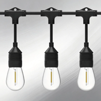 Guirlande lumineuse extérieure IP65 de 5 m (16,4 pieds) pour mariage et patio, ampoules LED Edison S14 suspendues, guirlandes lumineuses à fils, E26 E27