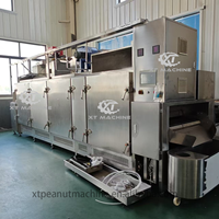 Machine de torréfaction à bande transporteuse à gaz continu pour noix, avec torréfacteur automatique en acier inoxydable pour arachides Hypogaea/noyaux d'abricot