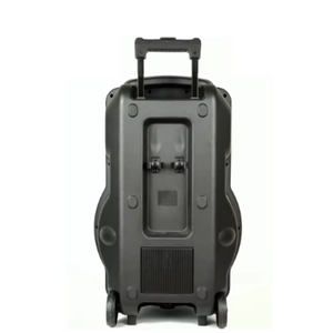 Cassa Musicale DJ Portatile da 15 Pollici con Subwoofer ad Alta Potenza, LED RGB, Supporto per 2 Microfoni, BT Wireless e WiFi per <span class=keywords><strong>Karaoke</strong></span> Domestico - Product Image 6
