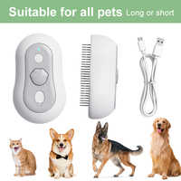 Brosse de toilettage premium rechargeable pour animaux de compagnie, en ABS et silicone, avec fonction brumisation pour hydrater le pelage des chats à domicile