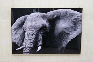 Peinture murale décorative en résine d'éléphant, toile acrylique, impression de scène, 3d, taille personnalisée - Product Image 4