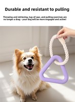 Nouvel ensemble de jouets à mâcher pour chiens, mignons, en forme de dessin animé, écologiques, interactifs, durables, pour l'exercice et le nettoyage des dents, en peluche couineuse