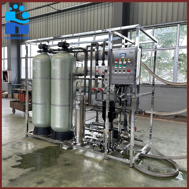 Cost-Effective 800 GPH RO Water Plant for Bottled/Sachet Water Production