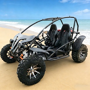 Buggy a benzina LNA da 200cc, raffreddato ad aria, 2WD, facile da guidare - Product Image 4