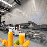 Mango-sap productielijn |   Complete Mango Verwerkingsmachine voor het maken van vruchtensap, turnkey mango sap productielijn