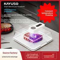 Plaque de Conduction Thermique ABS Y A8248 pour Steak, Plateau de Décongélation Rapide Intelligent à Température Constante