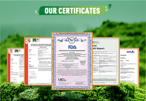 Scatola di imballaggio Sandwich personalizzata con tazza di caffè - Product Image 5