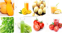 500 Kg/u Fruit Jam Pasta Maken Tomatenpulp Machine Industriële 2 Lagen Fruit Mango Pulp Extractor Machine