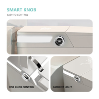 Vente chaude : WC intelligent monobloc avec bidet, cuvette de toilette, sanitaire d'hôtel, télécommande, montage au sol pour