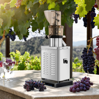 1200W Professionele Niet Nodig Gesneden Stukken Kauwen Brede Toevoergoot Roestvrijstalen As Koude Pers Commerciële Juicer Machine