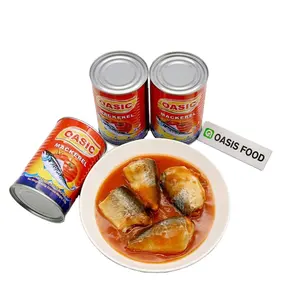 أفضل نوعية من سمك الماكريل في صلصة طماطم في 155 جم من الصفائح مع حلال، HACCP، شهادة DIPOA