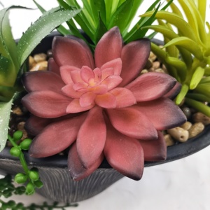 Arrangement décoratif en forme de bateau assorti Pot en ciment pour la maison, la <span class=keywords><strong>cuisine</strong></span>, le bureau Décor de graduation Vert pour étagère de bureau - Product Image 4