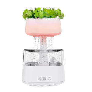 450ml nuovo arrivo marca Home Desktop miglior regalo ultrasuoni Aroma Mist Rain Cloud <span class=keywords><strong>umidificatore</strong></span> pianta fai da te - Product Image 2