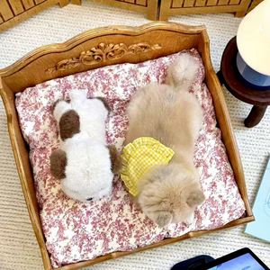 Cama Pequeña para Mascotas de Madera Tallada de Estilo Antiguo y Exquisito para Perros y Gatos - Product Image 5