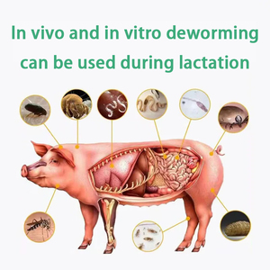 Supplément vermifuge pour porcs, très vendu, pour l'élevage et les soins des animaux - Product Image 3