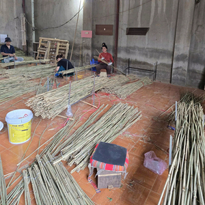 High Quality Dried <b>Bamboo</b> Stakes for Plant Support Natural Agricultural <b>Bamboo</b> <b>Canes</b> for Nursery and Vineyard - Product Image 6
