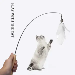 IN 1 Interactive Feather Cat Toys Pet Cat Toy Fishing Rod Retractable  Feathers Funny Cat Pole Five Replacement Head Tools