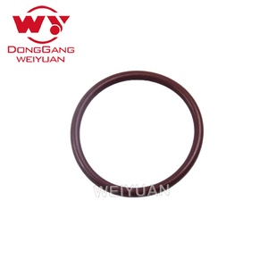 Weiyuan Chất lượng cao <span class=keywords><strong>3500b</strong></span> vòi phun vòi phun con dấu trên mô hình điều kiện mới 3920211/392-0211 - Product Image 4