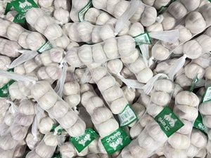 Ajo Jin <span class=keywords><strong>Xiang</strong></span> Rojo y Blanco Puro de 5.5cm y 6.0cm, Última Cosecha, Exportación a Granel, Proveedor de Ajo Fresco - Product Image 3