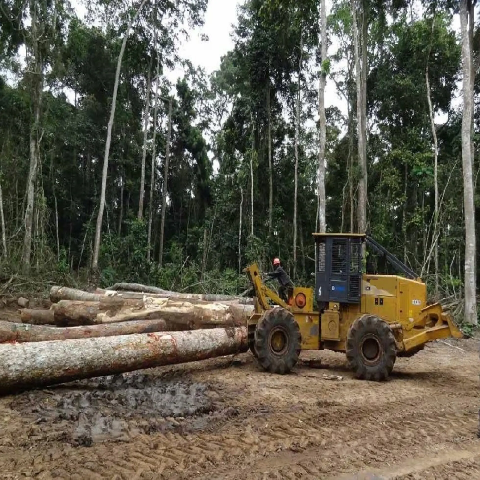 Skidder Lâm Nghiệp Máy Móc Bánh Xe Đăng Nhập Skidder Tời Lâm Nghiệp Winch Lâm Nghiệp Máy Kéo Gỗ Log Vật Lộn Winch Gỗ Toa Xe