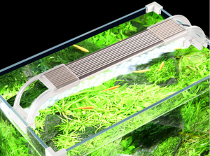Small Gold Fish <strong>tank</strong> Glass Living Room <strong>Turtle</strong> <strong>tank</strong> Live Fish Betta <strong>tank</strong> - Product Image 4