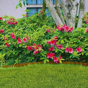 TAK da esterno in plastica con bordo a traliccio in legno muro di recinzione con rivestimento in natura con trattamento a pressione giardino paesaggio percorso barriera - Product Image 6