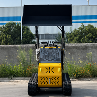 Chargeuse compacte sur chenilles hydraulique, mini-chargeuse pour l'agriculture, la construction, le jardinage et l'aménagement paysager, accessoires en option, usine chinoise