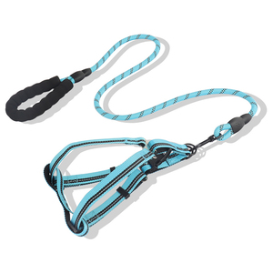 Le harnais et la laisse pour animaux de compagnie en nylon de couleur personnalisable Le poinçonnage antidéflagrant est solide et durable - Product Image 1