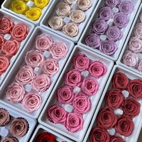 Konservierte Rosenköpfe 8 Stück in Box Frische Rosen Klasse B Großhandel DIY Blumenmaterial für Weihnachten Muttertag Valentinstag