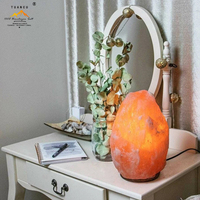 Lampe de sel de l'Himalaya naturelle de 15 à 20 kg, grande, avec variateur d'intensité/lampe de sel rose, provenant de l'usine Tuancu au Pakistan