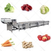 Lonkia Hoge Capaciteit Luchtbel Pruimen Groep Hami Meloen Haw Reinigingsmachines Groene Bladgroente Ozon Wasmachine