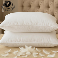 Oreiller de lit Hilton Hotel en duvet de plumes d'oie moderne, housse 100% coton personnalisable, 1 kg pour hôtels et gîtes