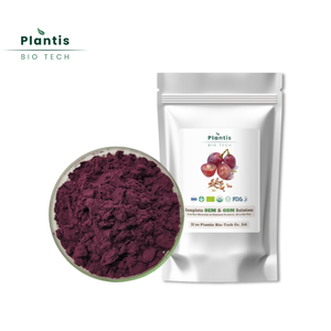 Wholesale Food Grade Natural Proanthocyanidin 95% OPC <strong>Grape</strong> Seed Extract For Antioxidant Supplements