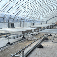 Serres agricoles GT, grandes serres en film plastique multi-spans avec structure en métal