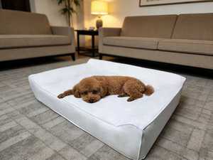 Cama para Perro Portátil, Extraíble y Lavable, de Espuma Viscoelástica Ortopédica Grande, Impermeable, con Relleno de Poliéster, Hecha a Medida por el Proveedor - Product Image 5