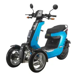 V28 EEC 2000W 3000W Electric Tricycle EEC Trike 3 Wheel Tricycle Scooter