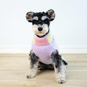 เสื้อสเวตเตอร์สุนัขสำหรับสุนัขตัวเล็กเสื้อกันหนาวถักลายสีรุ้งสำหรับสุนัขสัตว์เลี้ยงสุนัขฤดูหนาวเสื้อกันหนาวให้ความอบอุ่นสำหรับสุนัข yorkies <span class=keywords><strong>chihuahua</strong></span> - Product Image 2