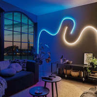 Haute qualité 24V RGB LED bande lumières étanche scène intelligente paysage éclairage décoratif diodes de couleur pour une utilisation en extérieur et en intérieur